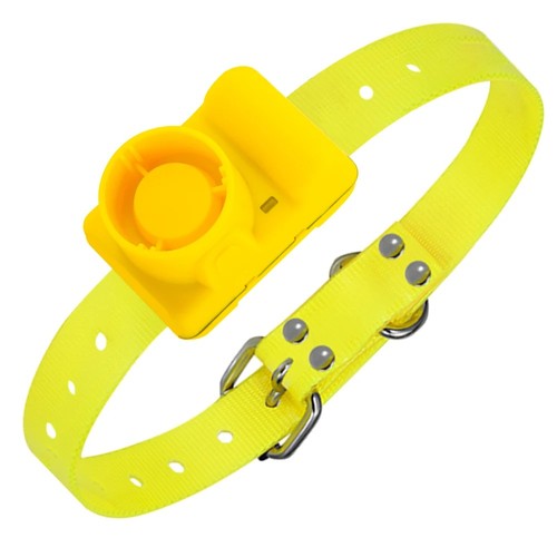 Collare beeper cane caccia - collare,