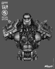Thrall | Warcraft: Reign of