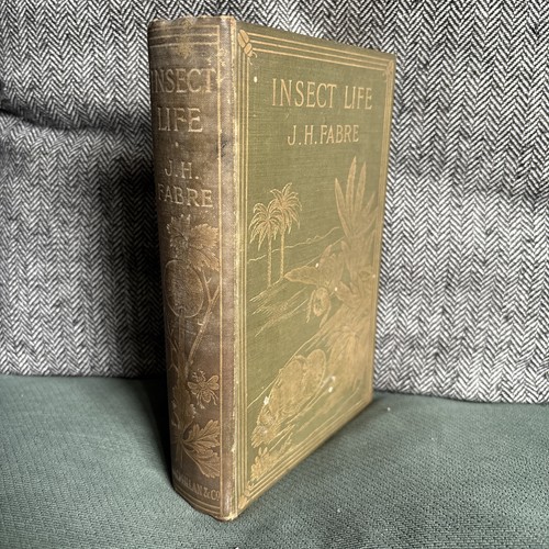 Insect life souvenirs - life, a