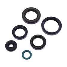 Kit guarnizioni paraoli motore