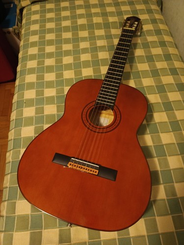 Chitarra classica eko cs15 - chitarra,