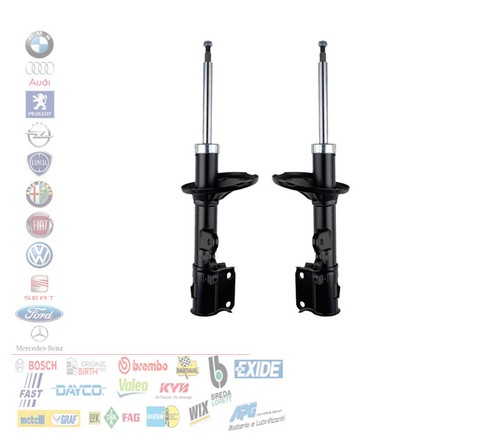 Coppia ammortizzatori - 2,
