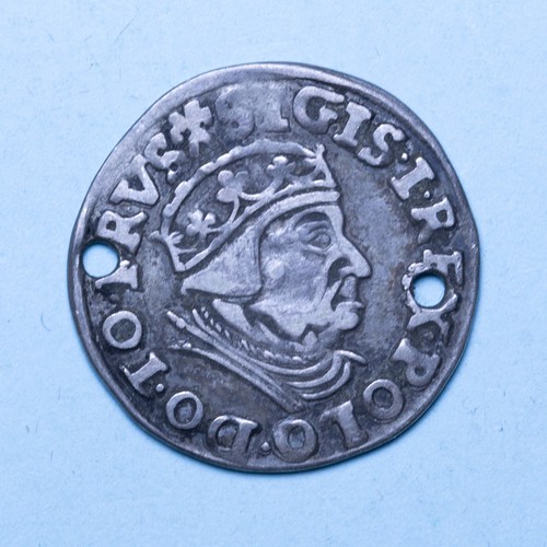 Polonia sigismondo 3 - polonia,