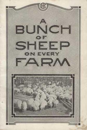 Bunch sheep every - of,