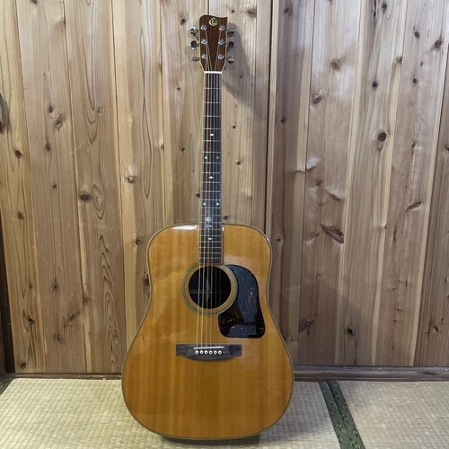 Takamine chitarra - tw-30,