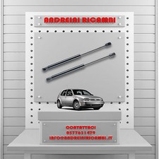 2 MOLLE A GAS BAGAGLIAIO