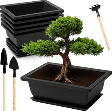 6 Ciotole per Bonsai Con