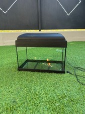 Acquario con luce a neon