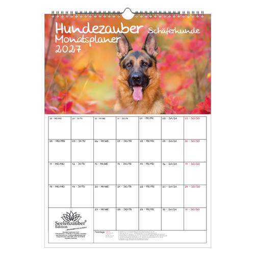 Planner magia per cani - magia,
