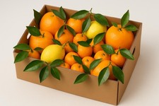 Box Agrumi 9KG Arance, Clementine e Limoni - PalagianoEccellenze di Puglia
