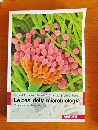 Basi della microbiologia - basi,