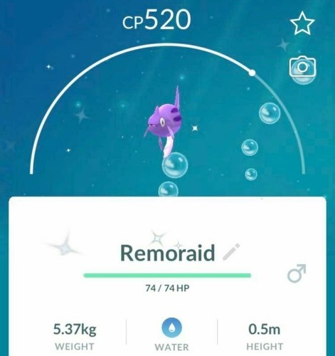 Shiny remoraid t - remoraid,