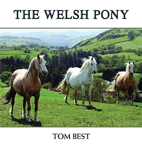 The history welsh - history,