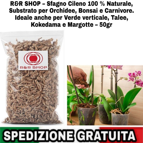 Sfagno cileno 100 - –, %