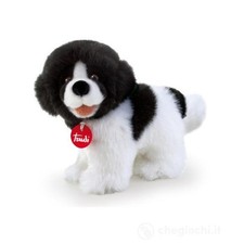 Cane Trudi peluche Starter Kit