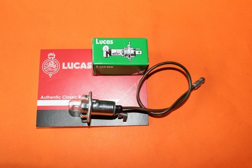 Porta lampadina - porta, lampadina/lampadina