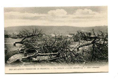 Cartoline prima guerra - cartoline,