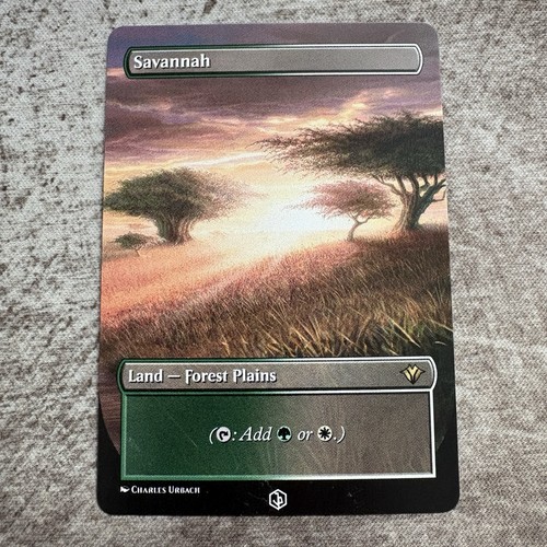 Savannah custom art mtg - savannah,