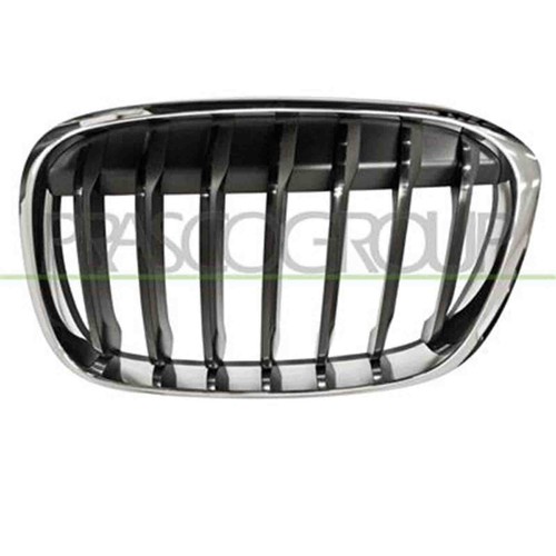 Griglia radiatore sinistra bmw - griglia,