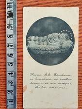 Santino Holy Card MARIA SS