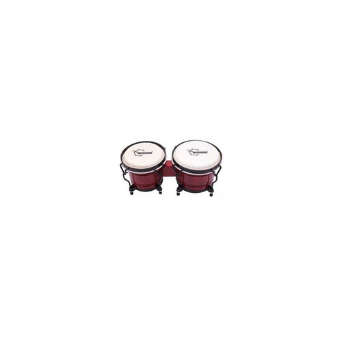 Bongo didattica wisemann - bongo,