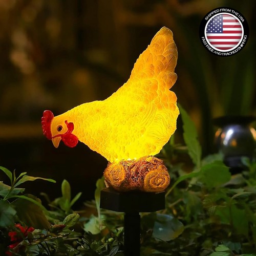 Luci solari pollo giardino - solari,