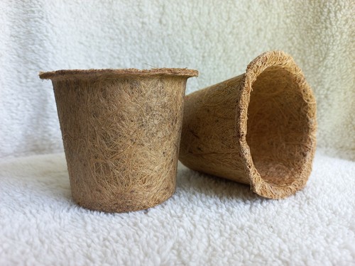 Semi pianta fibra - fibra, di