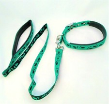 Collare e guinzaglio cane in