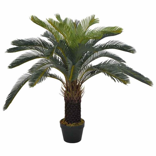 Palma cycas artificiale con - cycas,