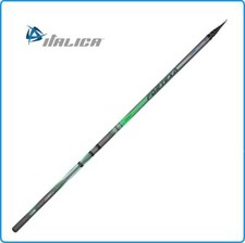 Canna italica bolognese - italica,