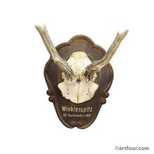 Trofeo capriolo vintage su