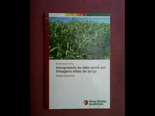 Introgressão alelo bmr6 sorgo