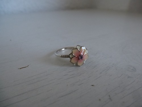 Anello magnolia bloom - magnolia,