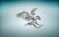 Adesivi adesivo sticker tuning tribale tribali auto moto jdm aquila r2