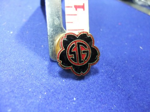 Badge political movement - ww,