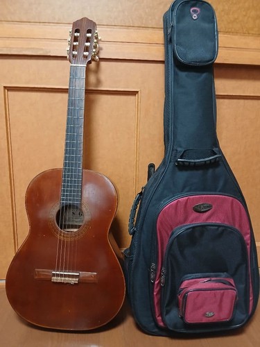 Chitarra zen 100 con - zen-on, sg-100
