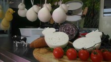 1kg spun pasta scamorza 100%