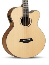 BASSO ACUSTICO AMPLIFICATO -