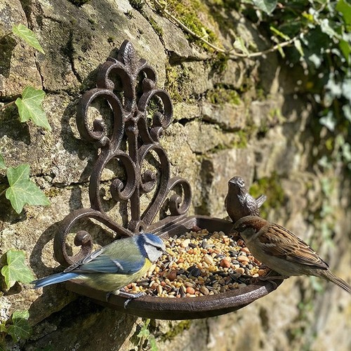 Mangiatoia per uccelli - , da
