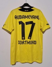 BORUSSIA DORTMUND 2013-2014