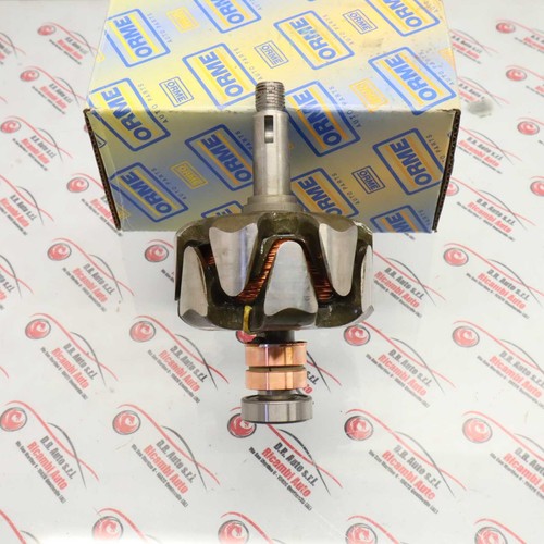 Rotore alternatore v - rotore, 12