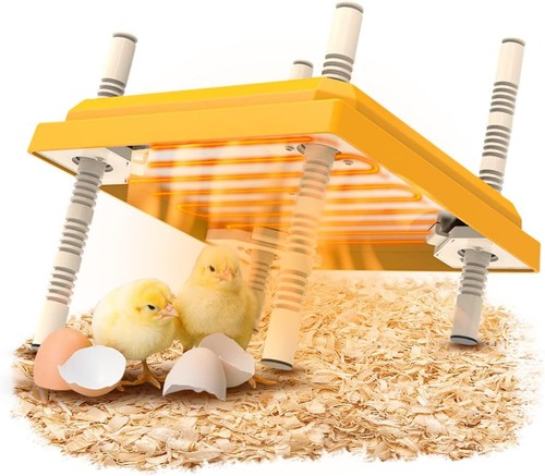 Riscaldatore per pulcini 10 - per, pulcini,