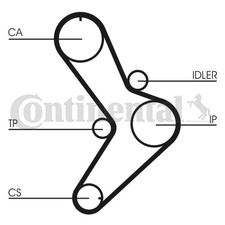 Cinghia distribuzione ct731 - cinghia,