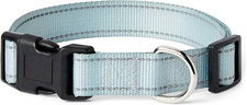 - Collare per Cani, Taglia L, Ciano