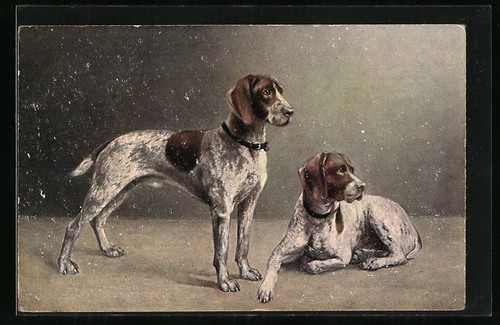 Cartolina artistica cane - , da