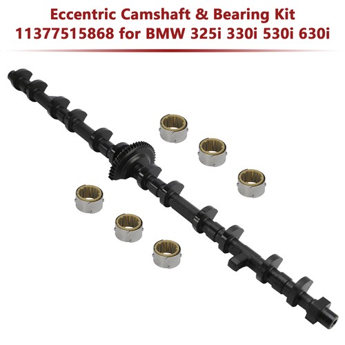 Eccentric camshaft bearing - eccentric,