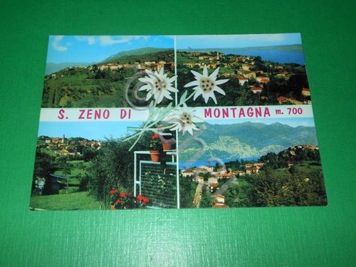 Cartolina san zeno montagna - zeno,
