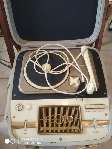 Fonovaligia prandoni - fonovaligia,
