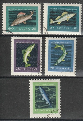 Polonia 1958 set completo