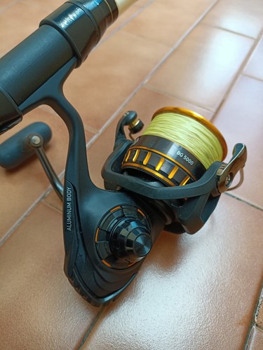 Canna pesca surf casting - da,